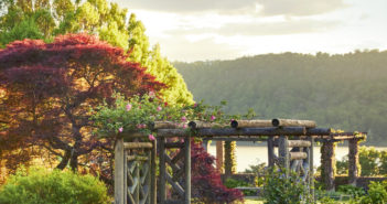 The Secrets Of The Wave Hill Public Garden